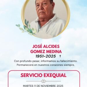 WhatsApp Image 2025-11-11 at 17.05.51