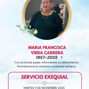 WhatsApp Image 2025-11-11 at 17.05.52